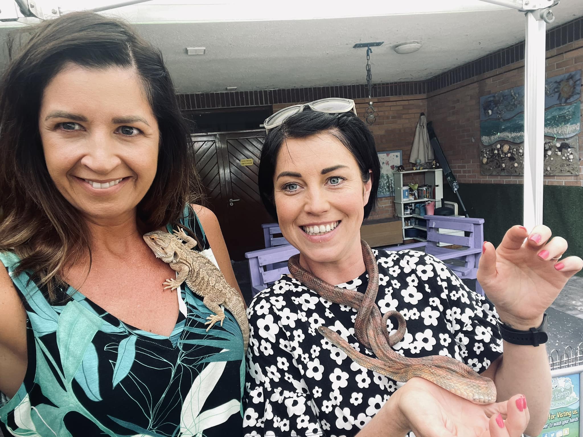 Staff Wellbeing